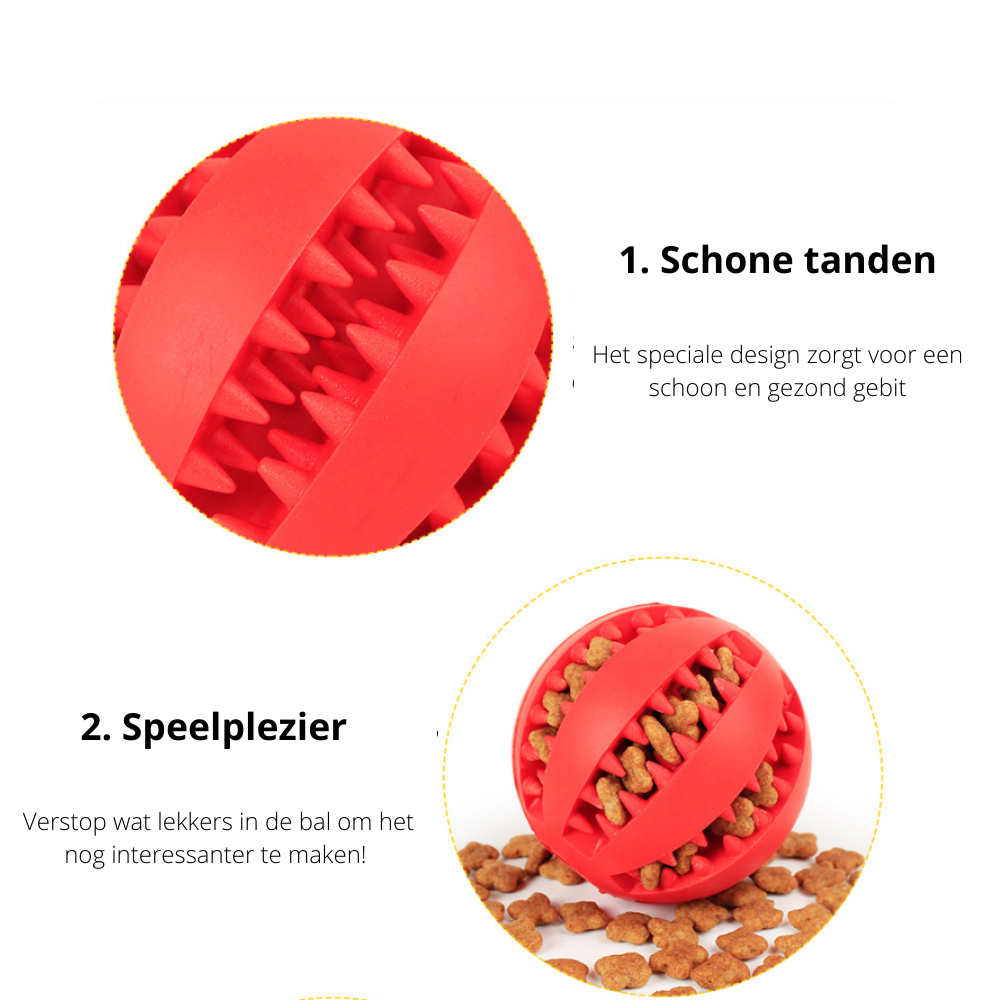 De Interactieve Snackbal