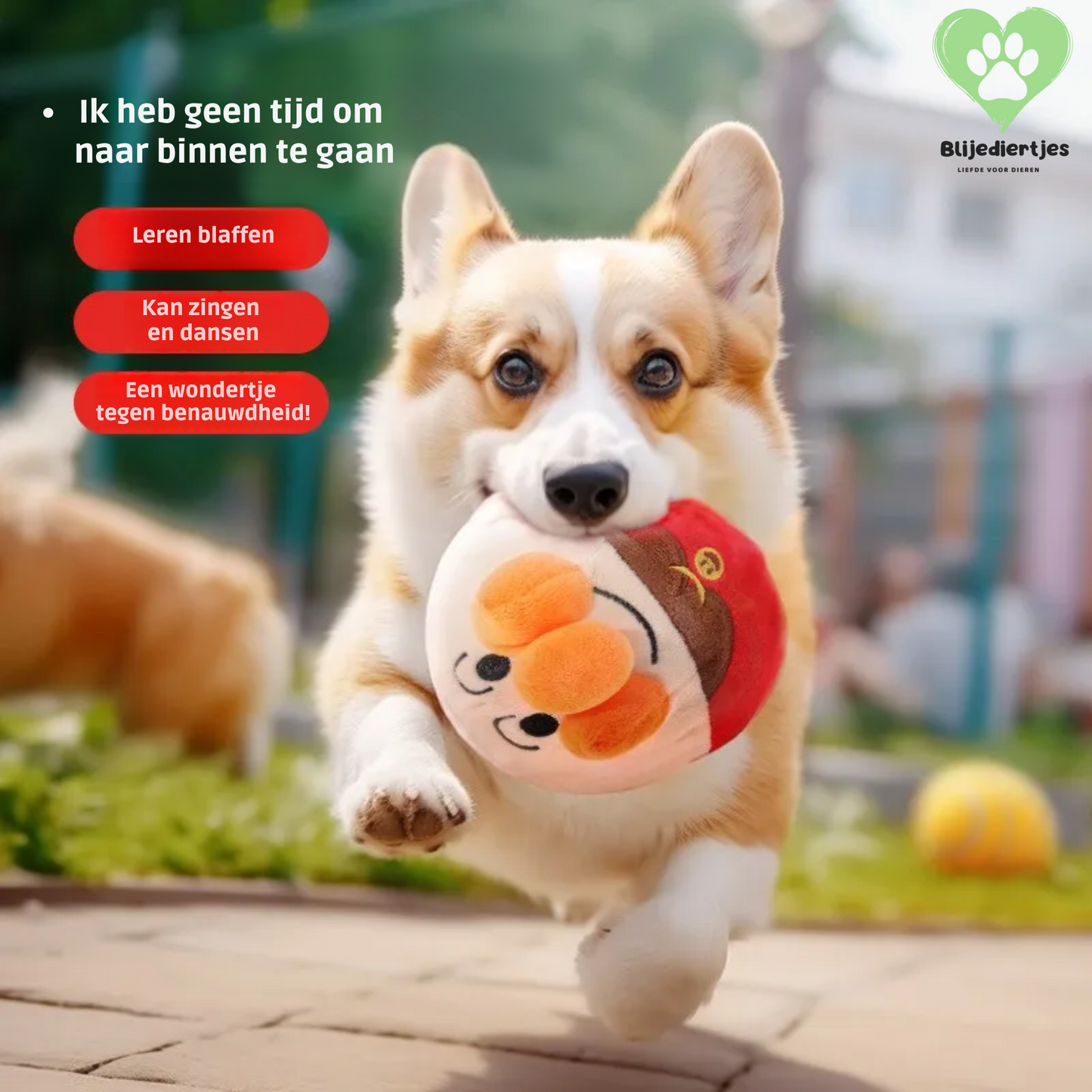 KnorKnal™ - Springt, rolt, knort – en je hond wordt er gek op!