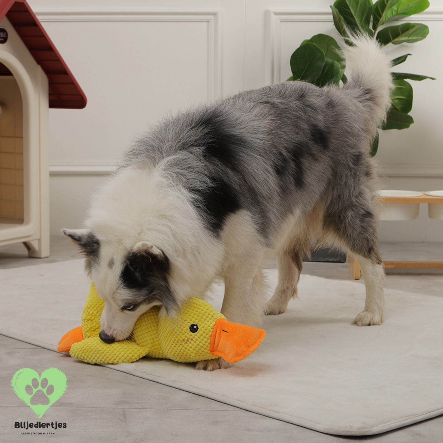 Duckie™ – Dé knuffel die jouw hond rust, veiligheid en plezier geeft