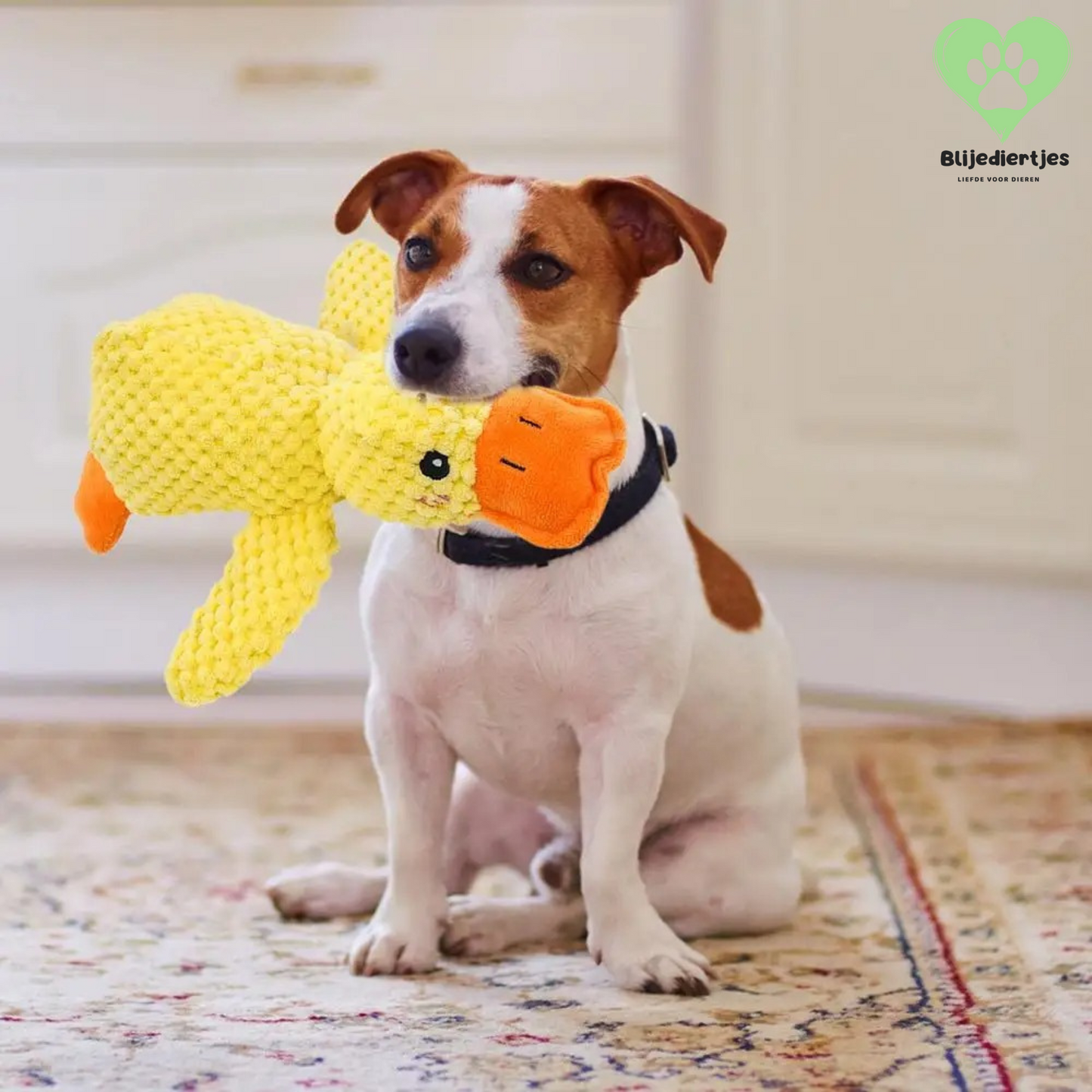 Duckie™ – Dé knuffel die jouw hond rust, veiligheid en plezier geeft