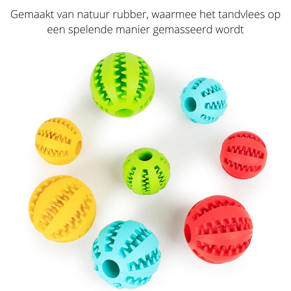 De Interactieve Snackbal