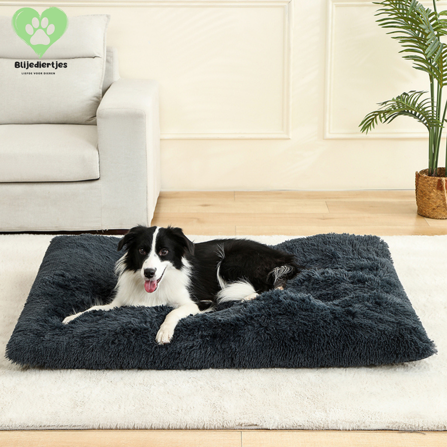 🐾 FluffyRust™ – De Rustgevende Hondenmat
