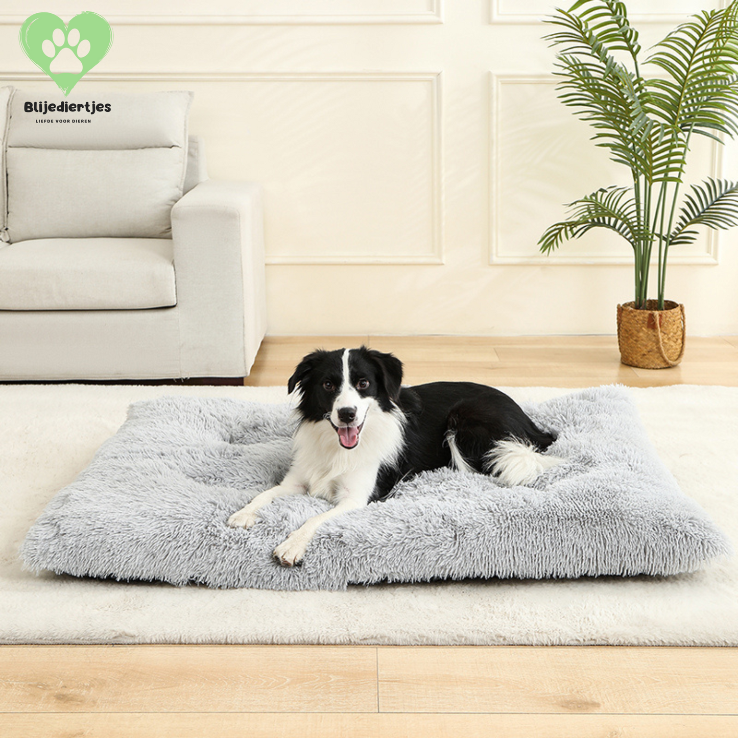 🐾 FluffyRust™ – De Rustgevende Hondenmat
