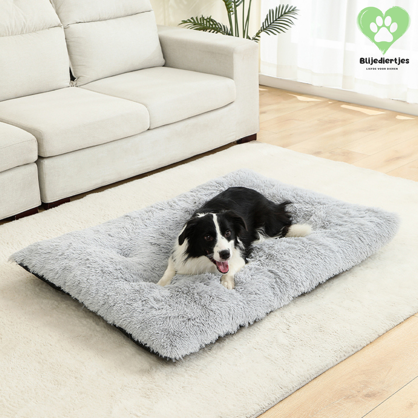 🐾 FluffyRust™ – De Rustgevende Hondenmat