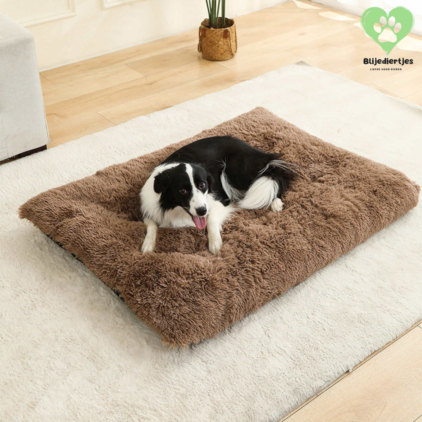 🐾 FluffyRust™ – De Rustgevende Hondenmat