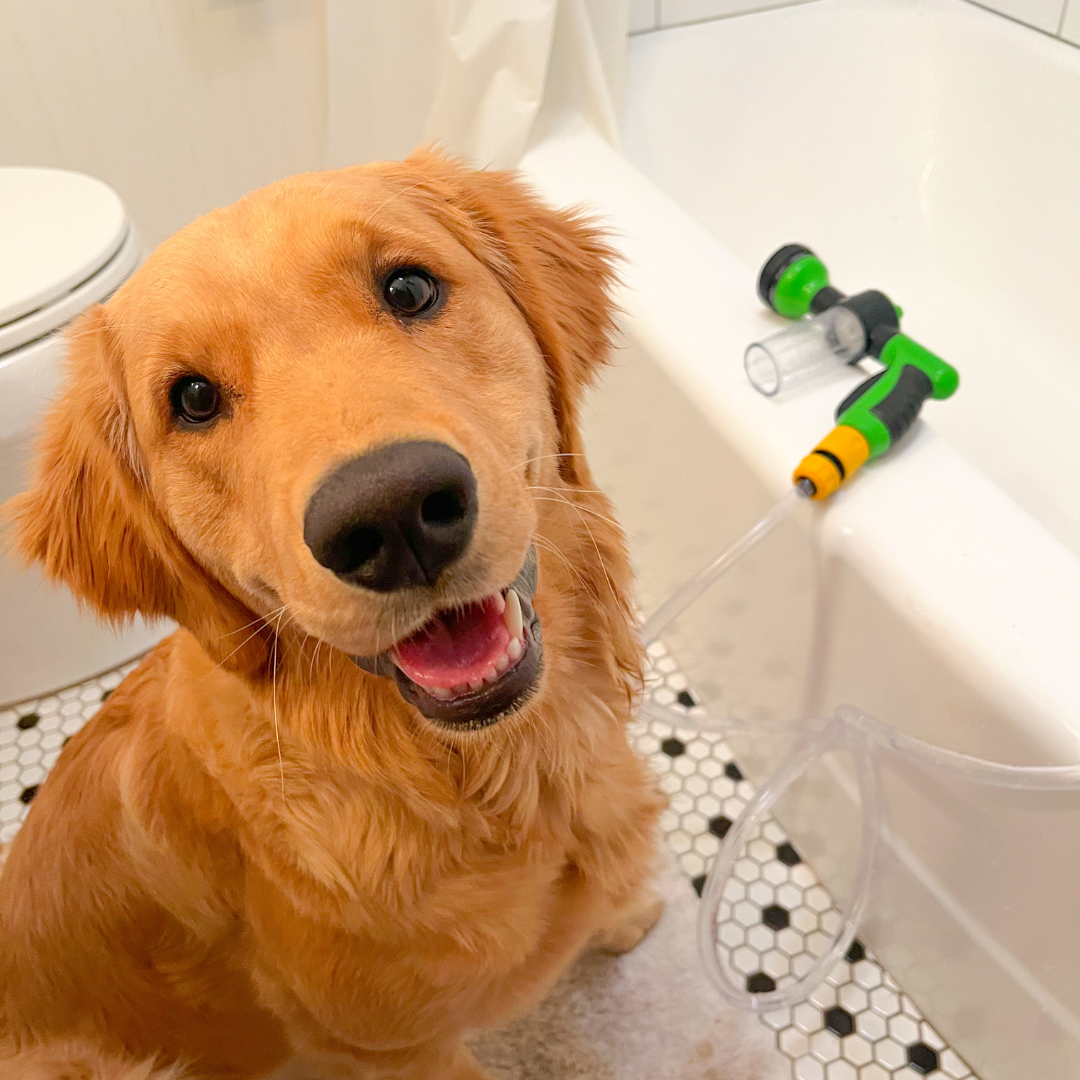 DogClean Gemakkelijk wassen na het spelen!