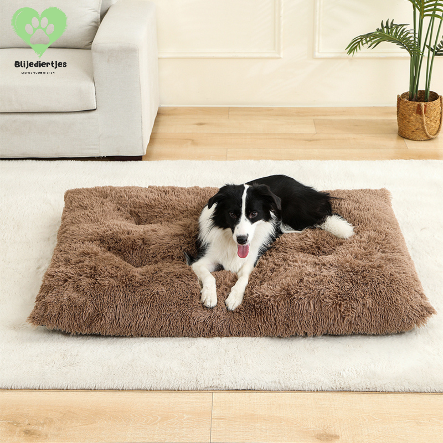 🐾 FluffyRust™ – De Rustgevende Hondenmat