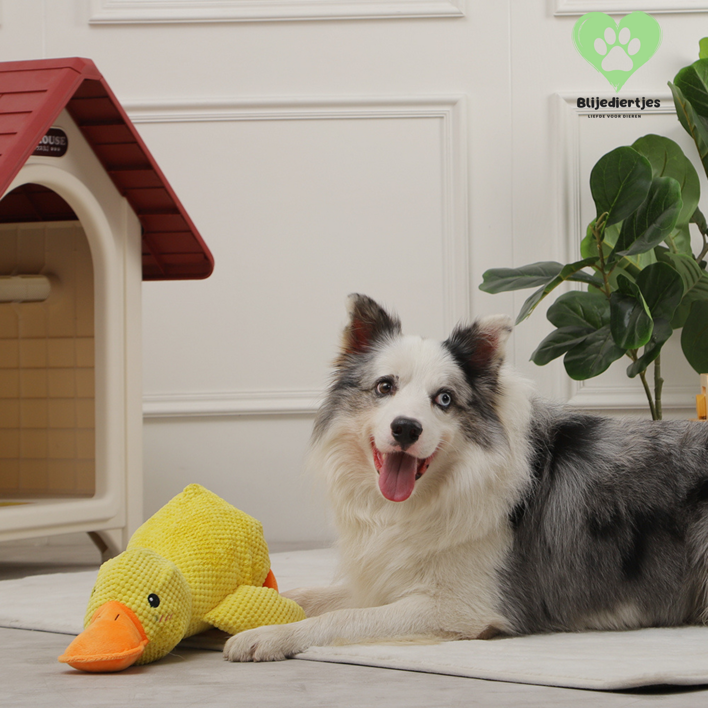 Duckie™ – Dé knuffel die jouw hond rust, veiligheid en plezier geeft
