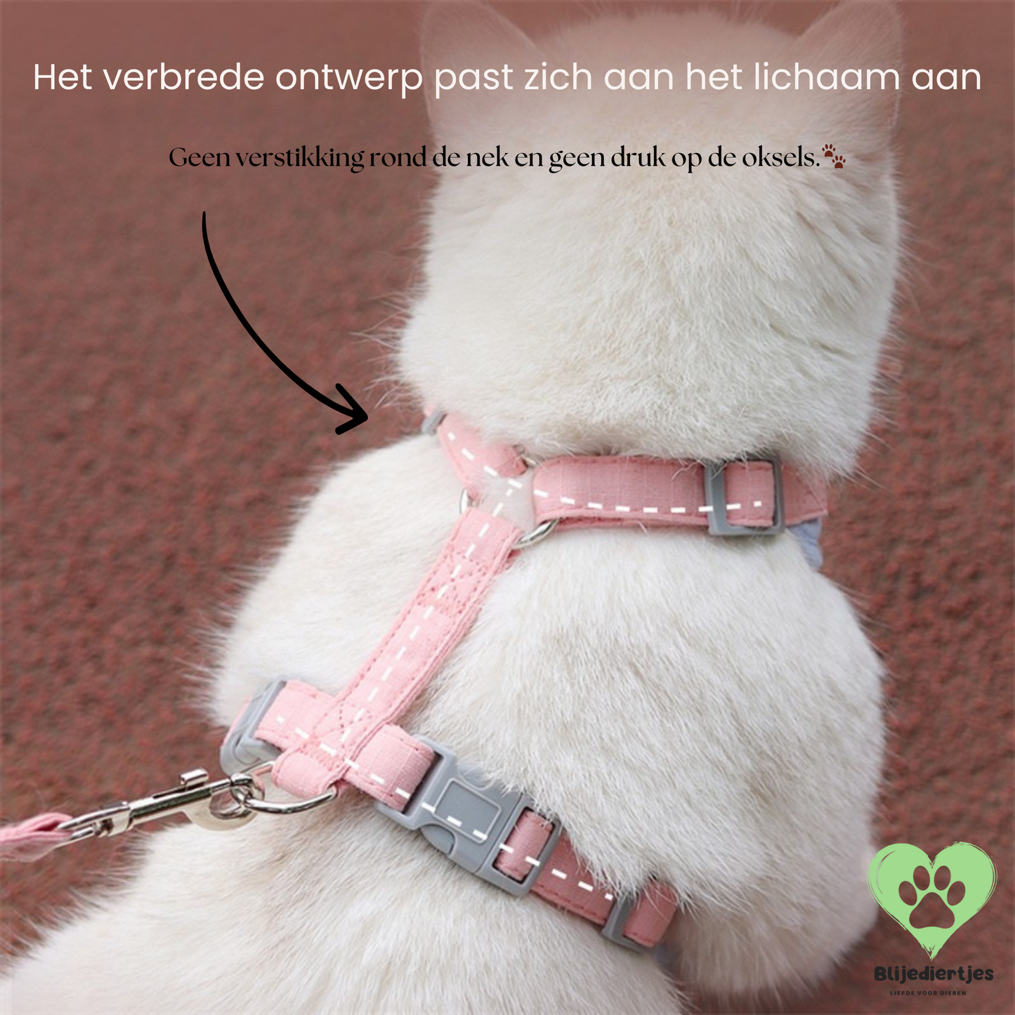SoftPaws™ Comfort Harnas – Voor een zachte, veilige en stijlvolle wandeling 🐾 - Blijediertjes Blijediertjes Groen / XS 2-3kg Blijediertjes SoftPaws™ Comfort Harnas – Voor een zachte, veilige en stijlvolle wandeling 🐾
