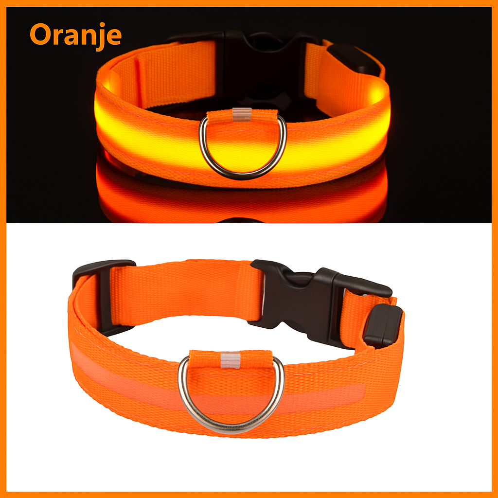 LED Halsband voor Honden