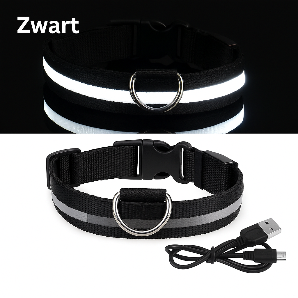 LED Halsband voor Honden