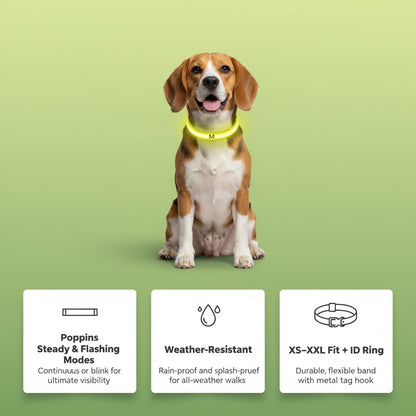 LED Halsband voor Honden