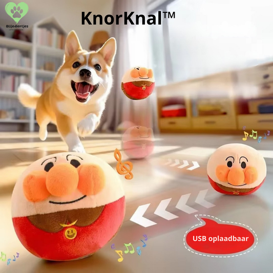 KnorKnal™ - Springt, rolt, knort – en je hond wordt er gek op!