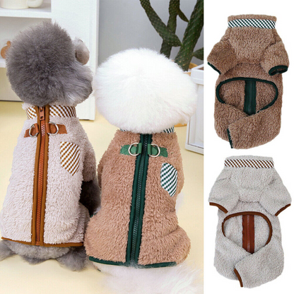 PawWarm | Houd uw huisdier behaaglijk deze winter