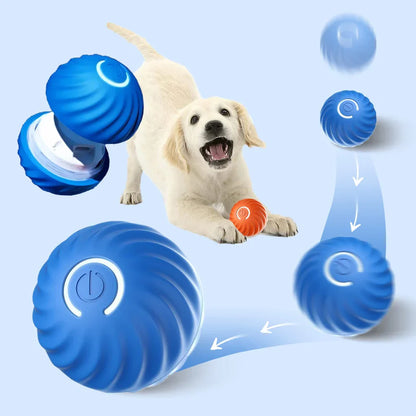 Interactief Balspeeltje – Voor Eindeloos Speelplezier en Actieve Honden!