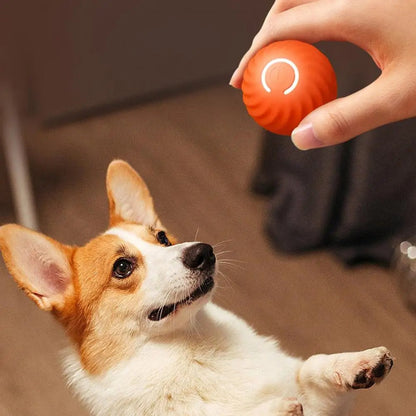 Interactief Balspeeltje – Voor Eindeloos Speelplezier en Actieve Honden!