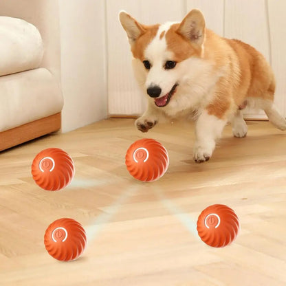 Interactief Balspeeltje – Voor Eindeloos Speelplezier en Actieve Honden!