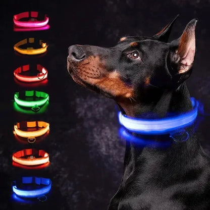 LED Halsband voor Honden