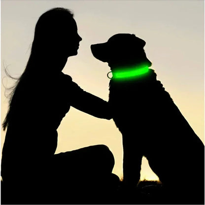 LED Halsband voor Honden