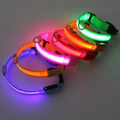 LED Halsband voor Honden