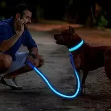 LED Halsband voor Honden
