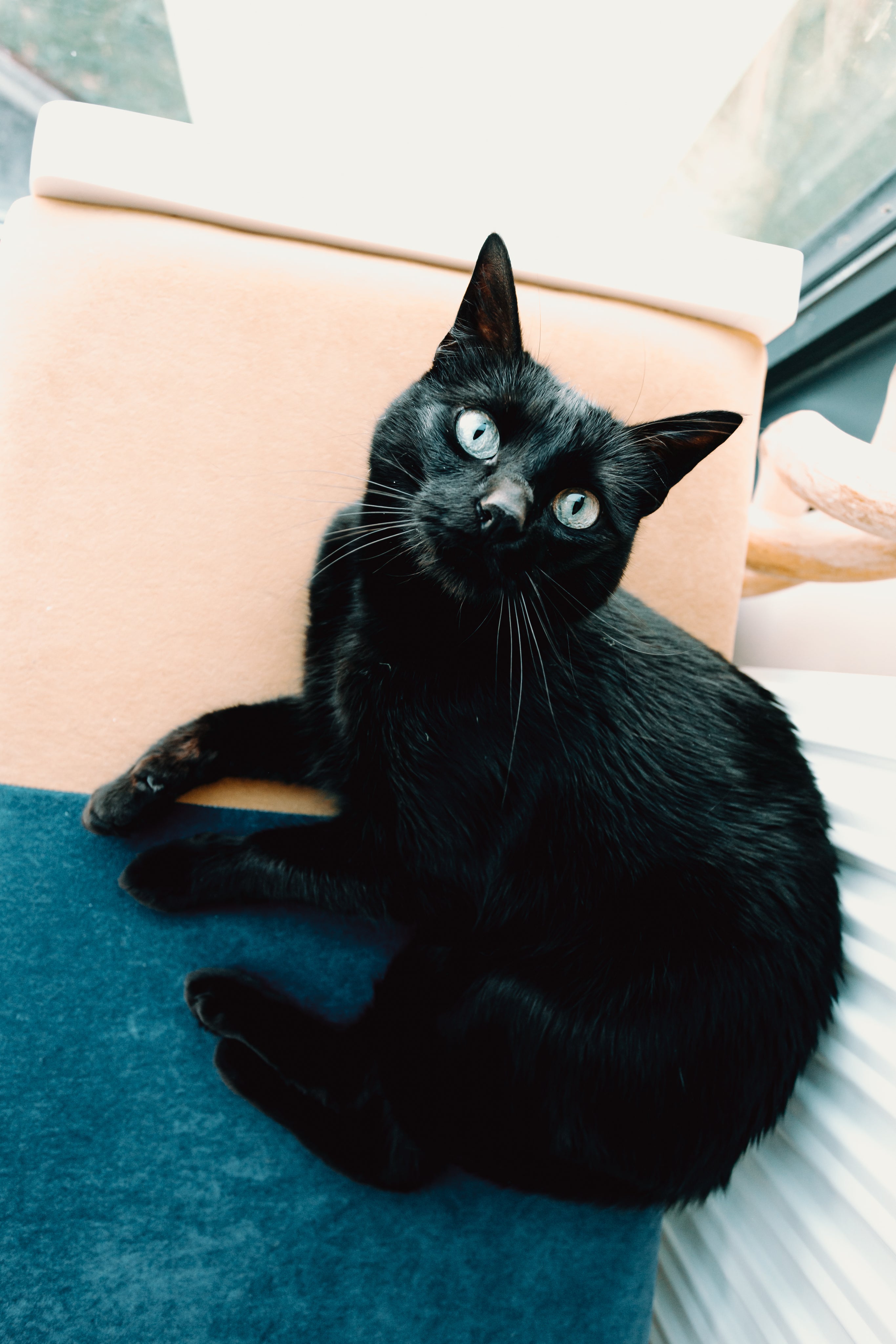 <em>Amber S, Amsterdam</em>