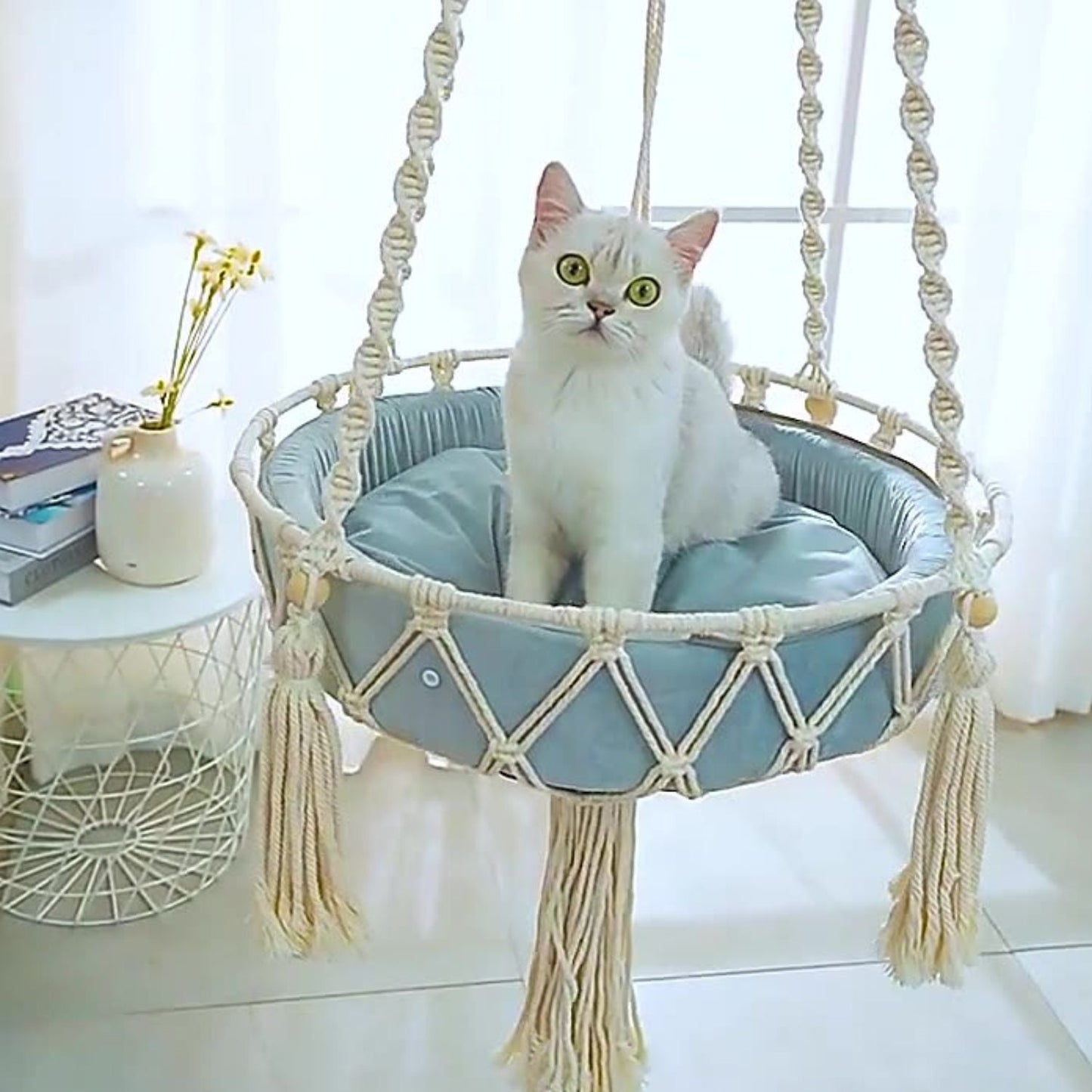 Katten Hangmand