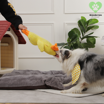 Duckie™ – Dé knuffel die jouw hond rust, veiligheid en plezier geeft