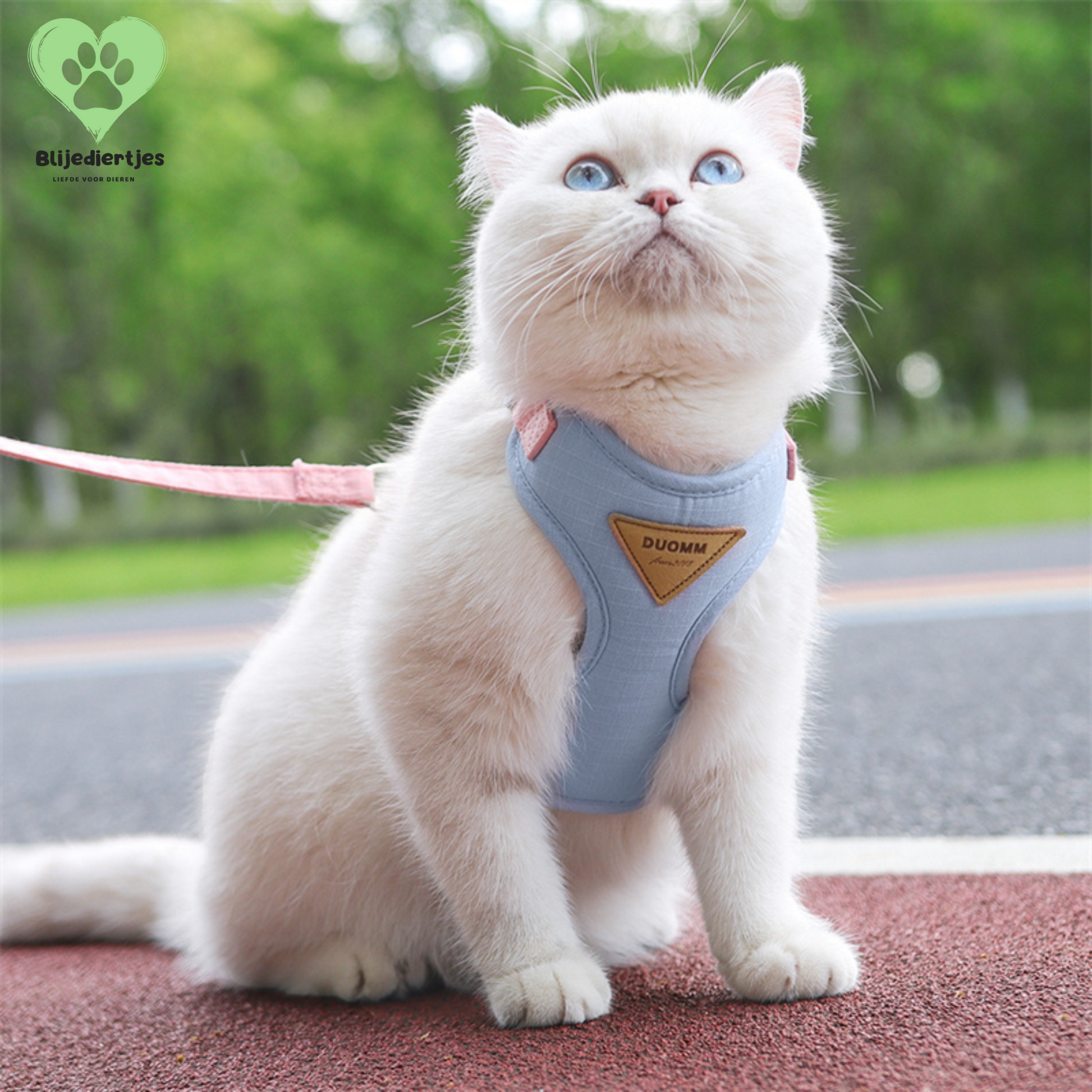SoftPaws™ Comfort Harnas – Voor een zachte, veilige en stijlvolle wandeling 🐾 - Blijediertjes Blijediertjes Groen / XS 2-3kg Blijediertjes SoftPaws™ Comfort Harnas – Voor een zachte, veilige en stijlvolle wandeling 🐾