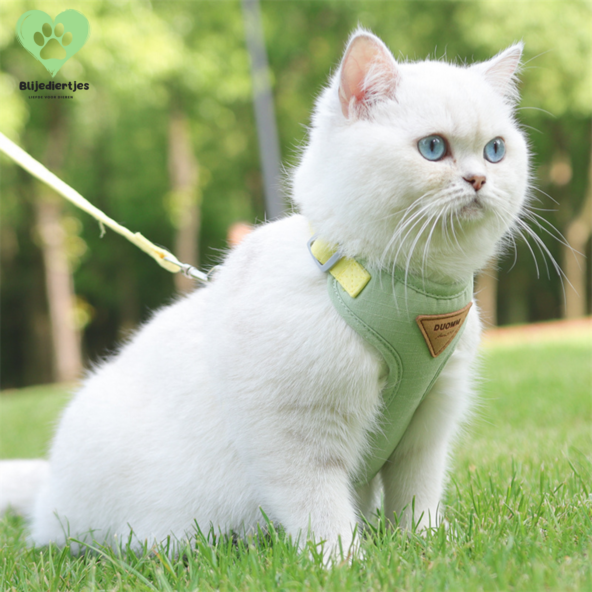 SoftPaws™ Comfort Harnas – Voor een zachte, veilige en stijlvolle wandeling 🐾 - Blijediertjes Blijediertjes Groen / XS 2-3kg Blijediertjes SoftPaws™ Comfort Harnas – Voor een zachte, veilige en stijlvolle wandeling 🐾