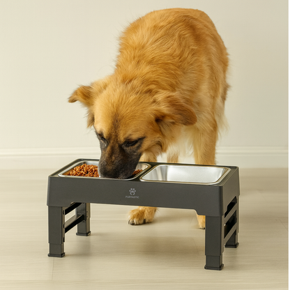 Verhoogde Voerbak en Drinkbak Hond - 2x RVS bak