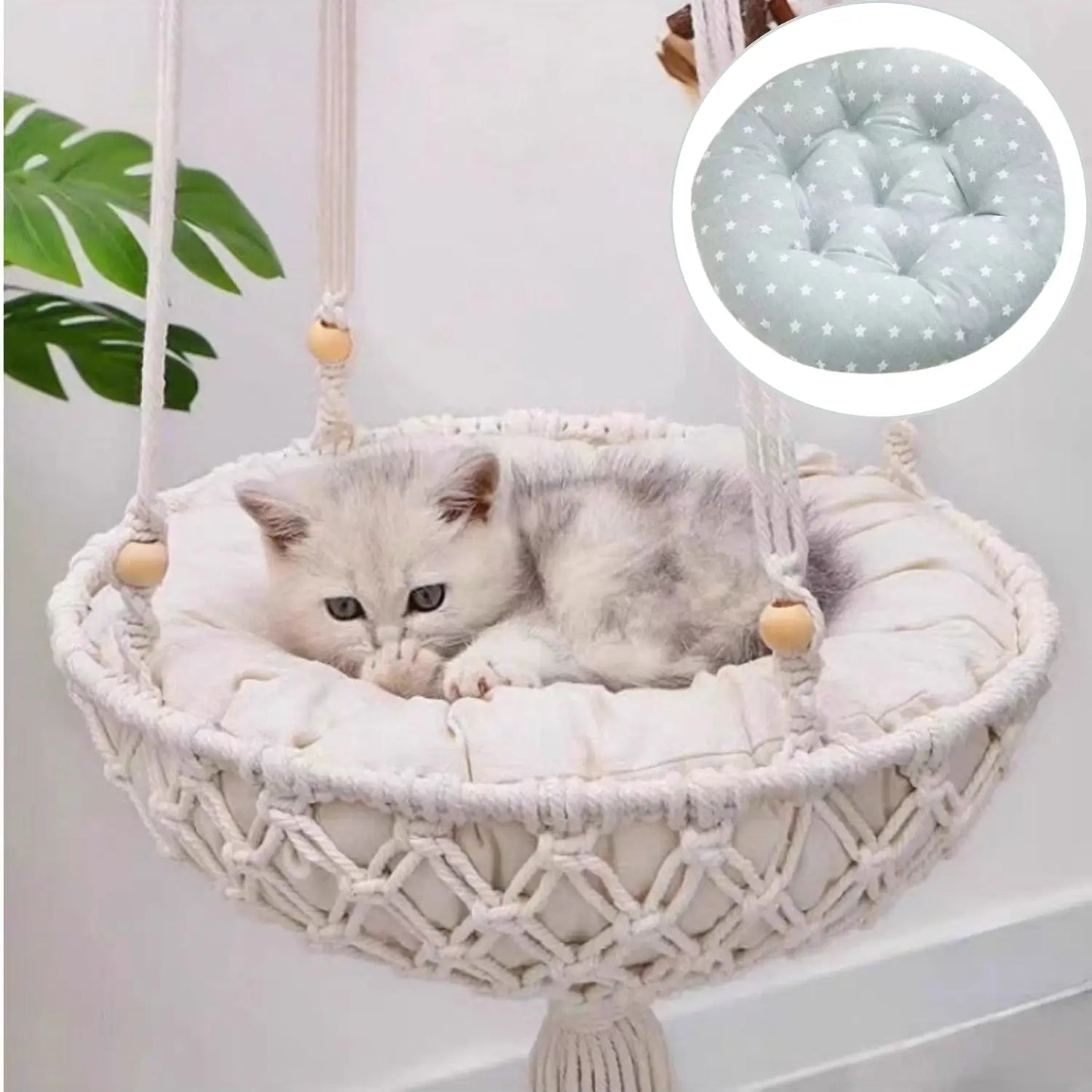 Katten Hangmand