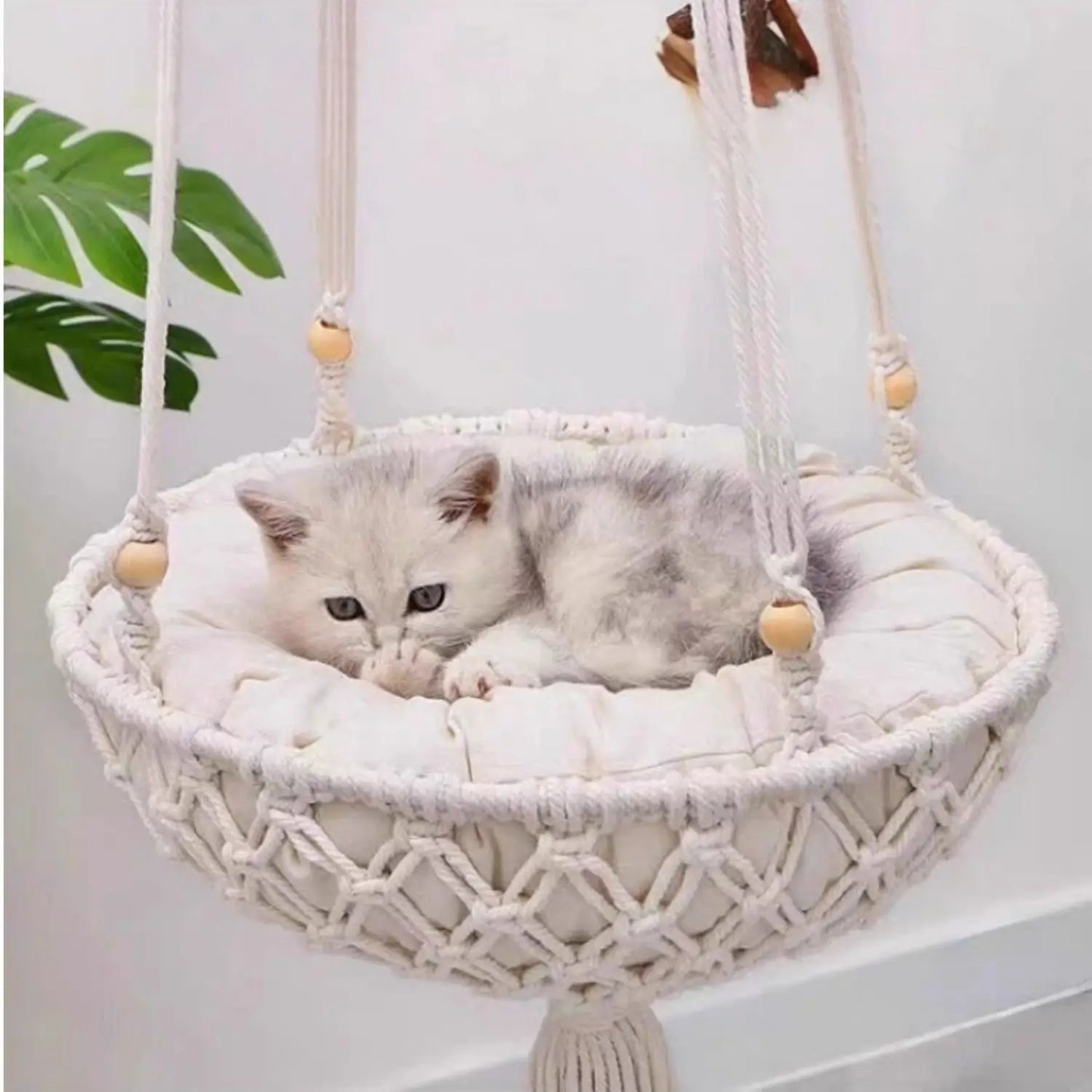 Katten Hangmand