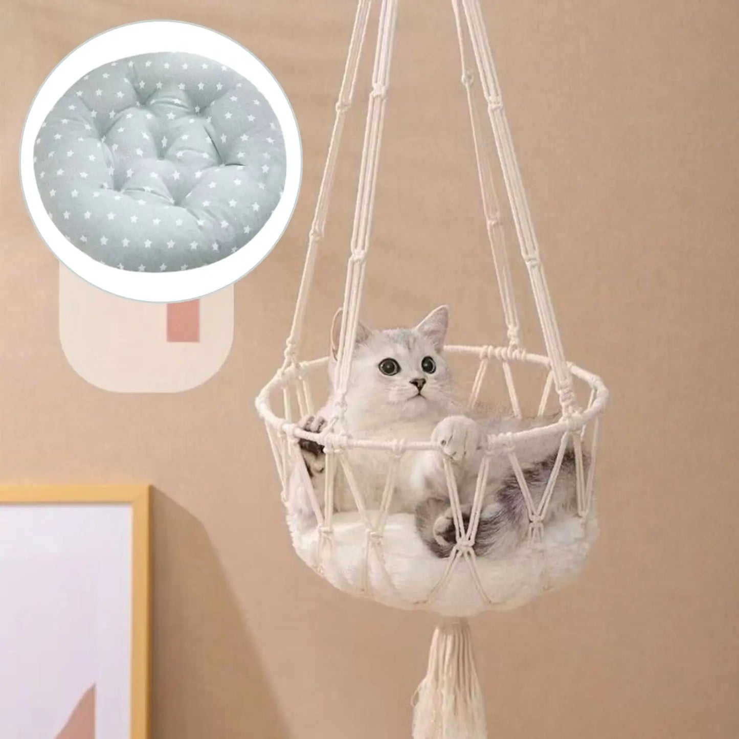 Katten Hangmand