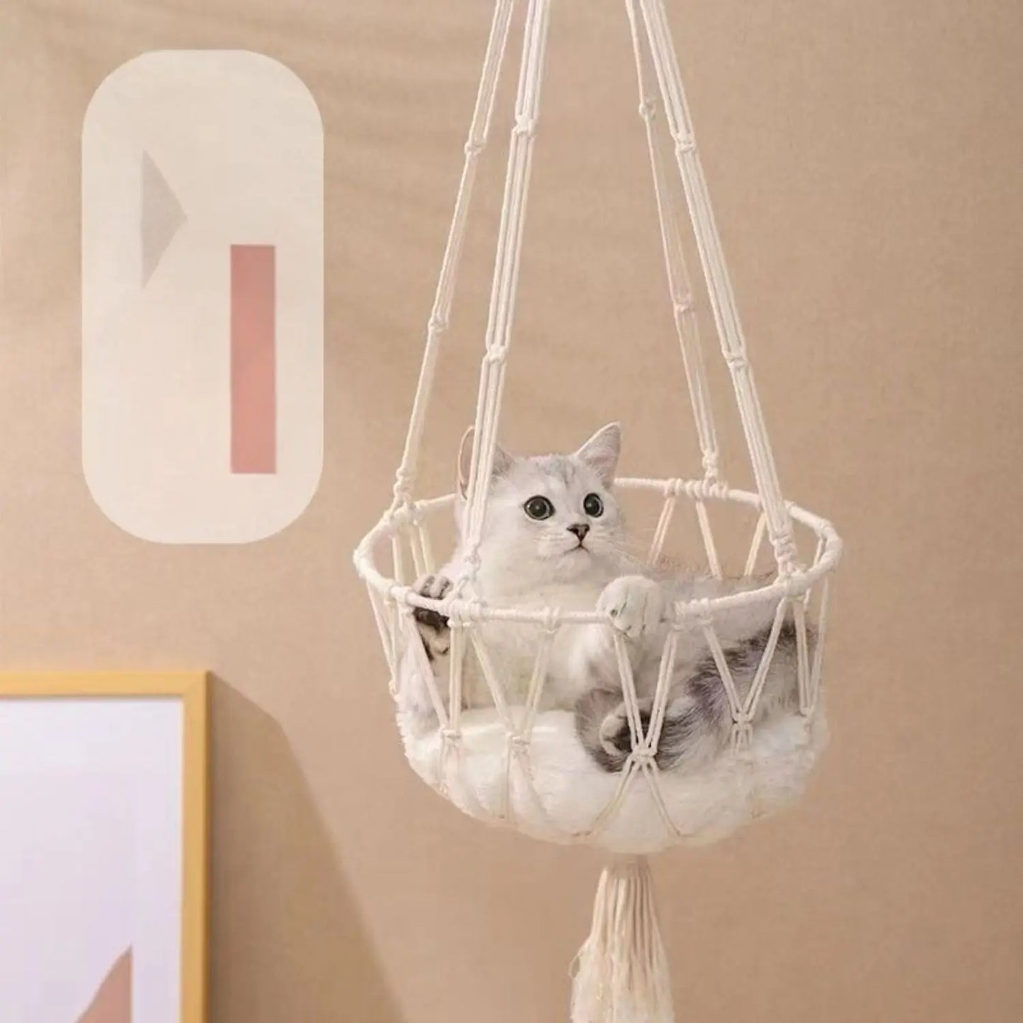 Katten Hangmand