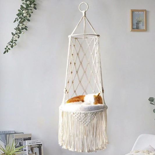 Katten Hangmand