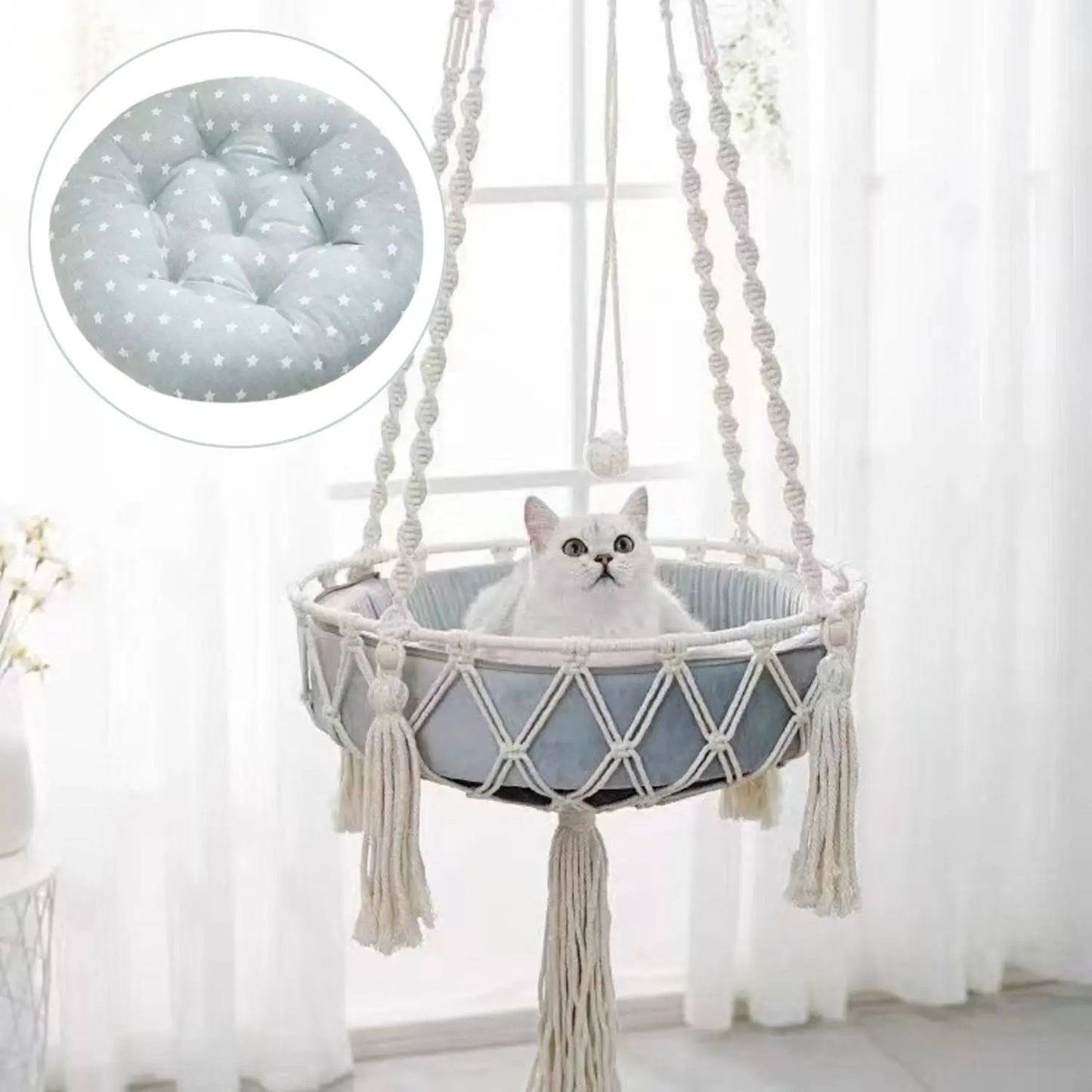 Katten Hangmand