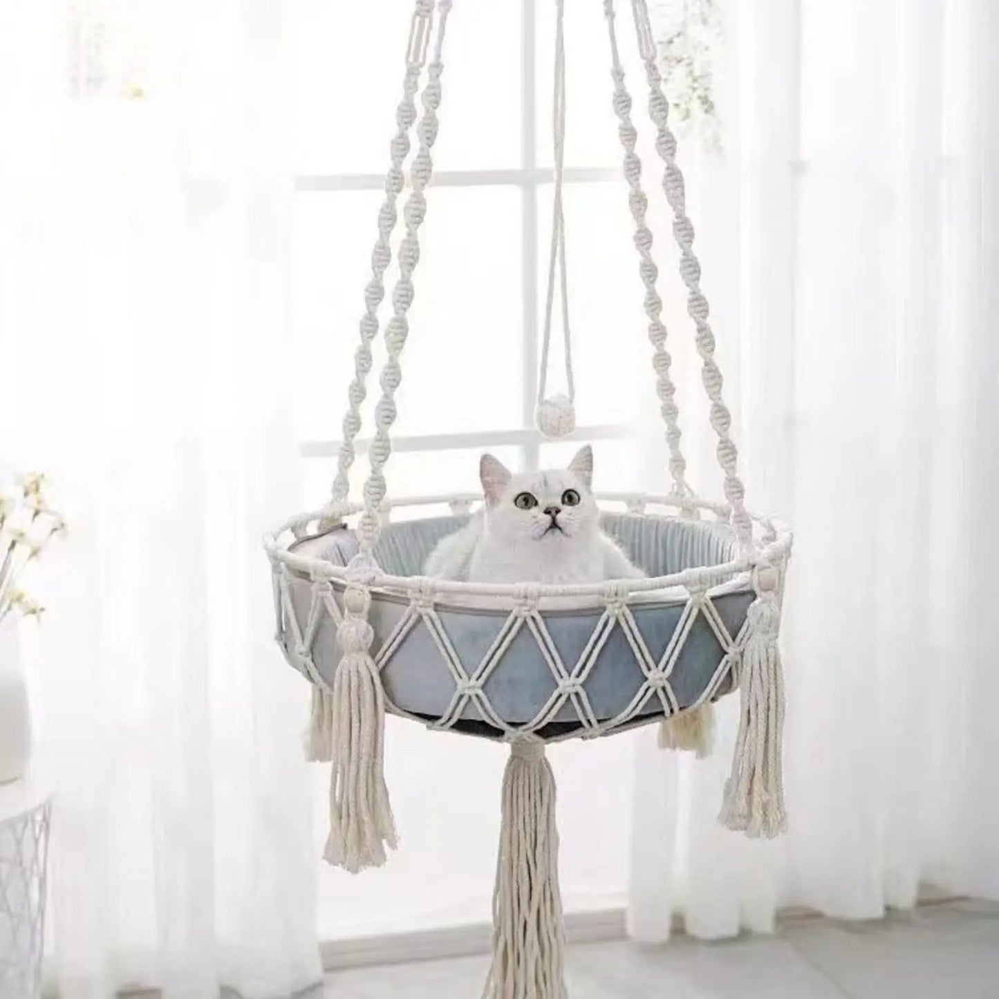 Katten Hangmand