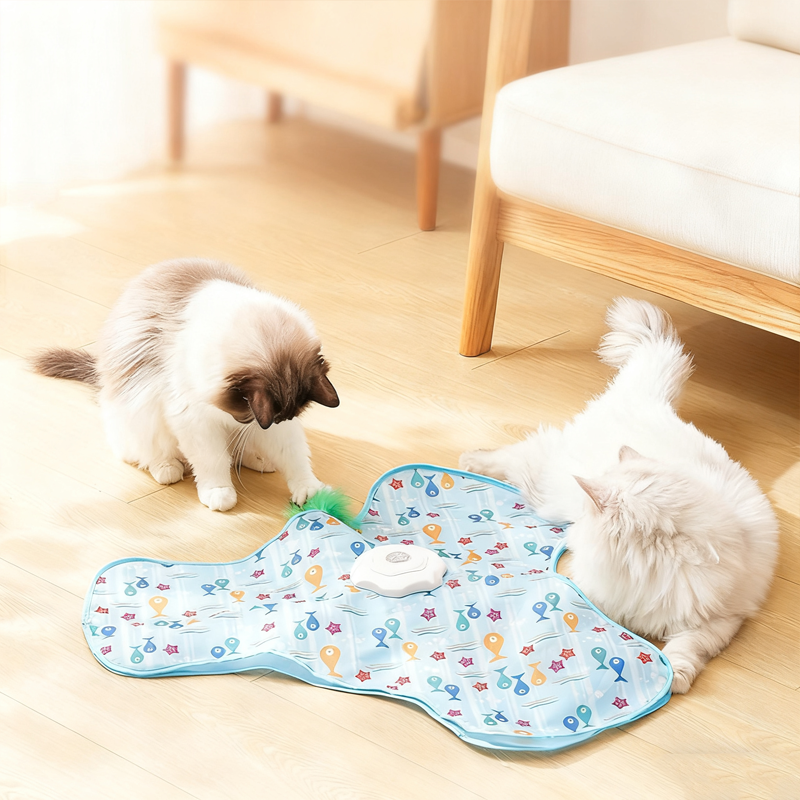 2-in-1 verstoppertje kattenspeeltje
