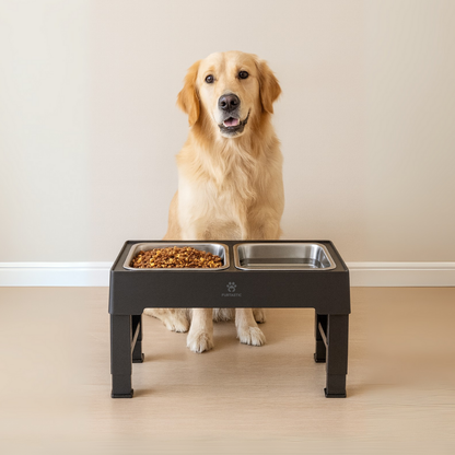 Verhoogde Voerbak en Drinkbak Hond - 2x RVS bak